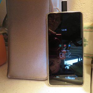 SOLD-Zip Around Adrienne Vittadini wallet or phone case in Bronze, NWT